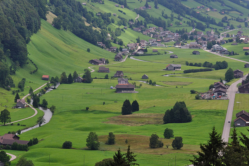 File:2011-08-04 10-58-51 Switzerland Starkenbach.jpg