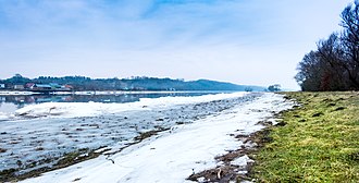 Winter on the river Oder near Krajnik Dolny 2018 03 Oder KrajnikDolny DSCF1386.jpg