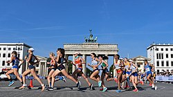 2018 European Athletics Championships Day 7 (02).jpg