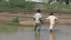 2022 floods in Gezira State, Sudan 5.jpg