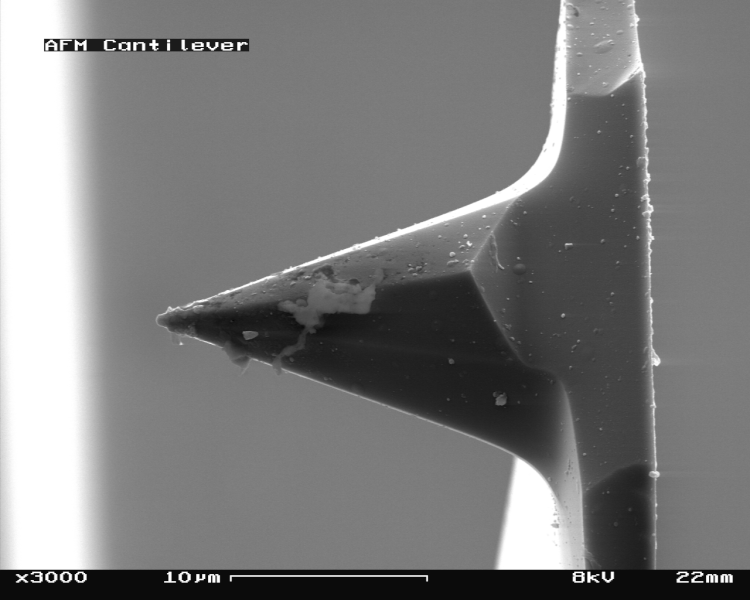 File:AFM (used) cantilever in Scanning Electron Microscope, magnification 3000x.GIF