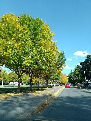 Ciudad Neuquén: Elementos identitarios, Geografía, Historia