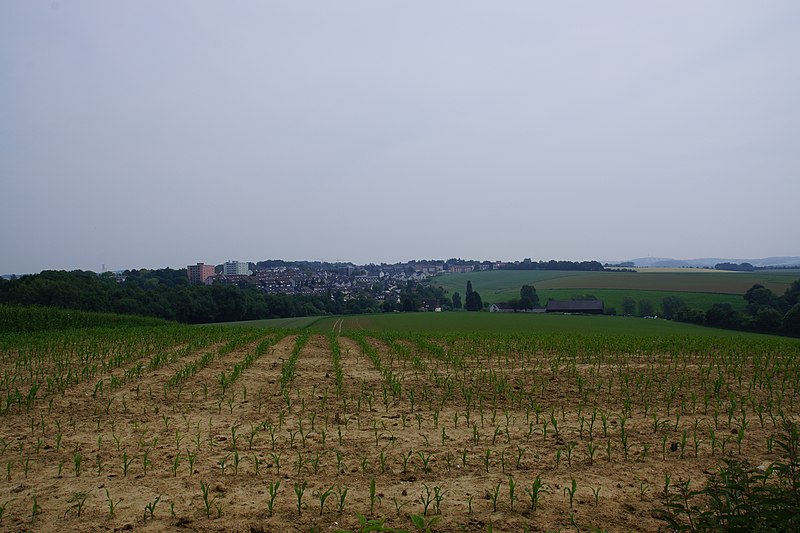 File:A part of Mettmann (Wülfrath) - panoramio.jpg