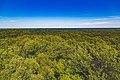 Above the tree canopy - Mille Lacs Lake from Kathio Observation Tower, Minnesota (29035822884).jpg