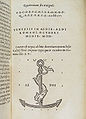 Simbol tiskare - sidro s delfinom, 1502.