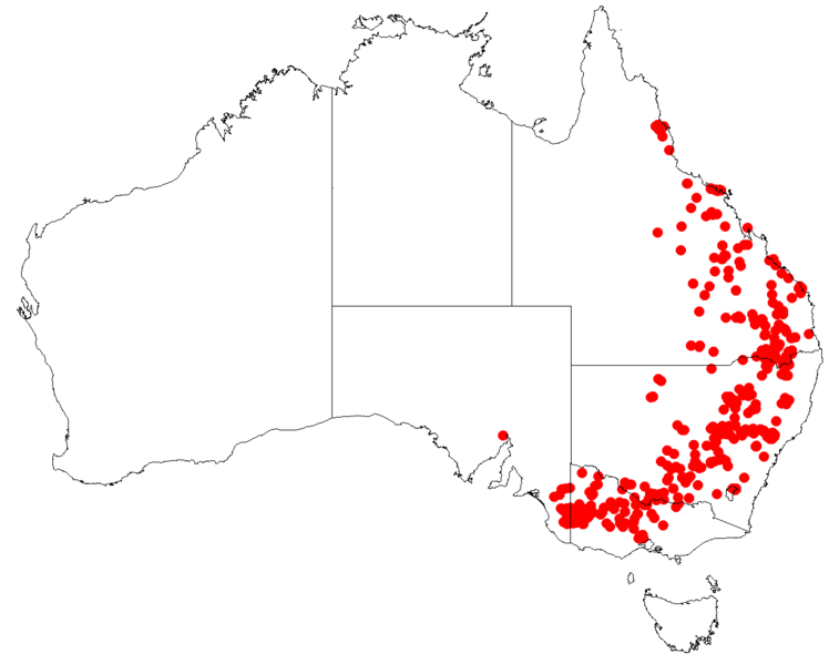 File:AllocasuarinaluehmanniiDistributionMap29.png