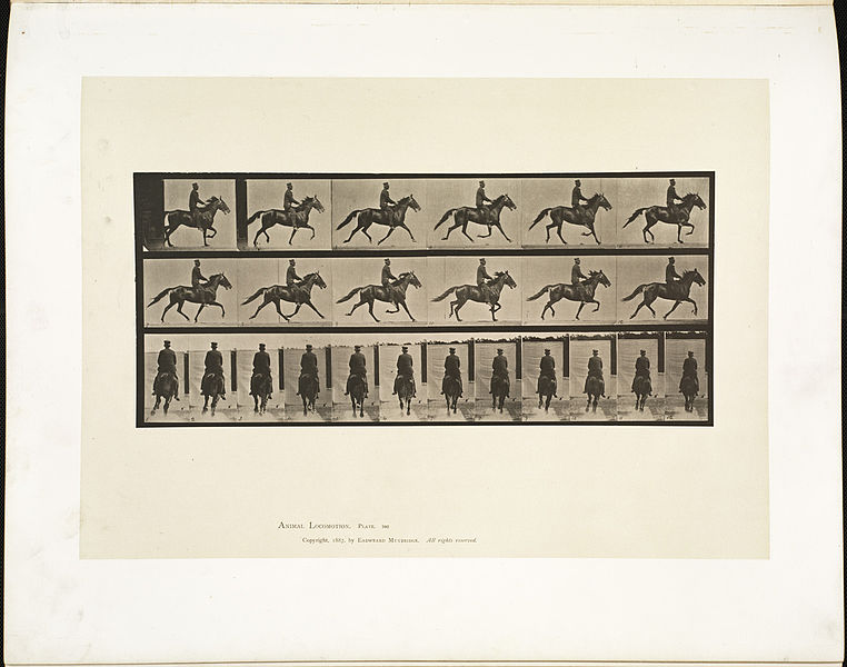 File:Animal locomotion. Plate 592 (Boston Public Library).jpg