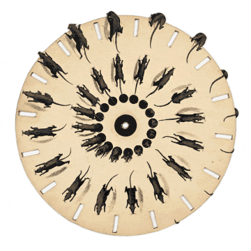 Animated phenakistiscope disc - Running rats Fantascope by Thomas Mann Baynes 1833
