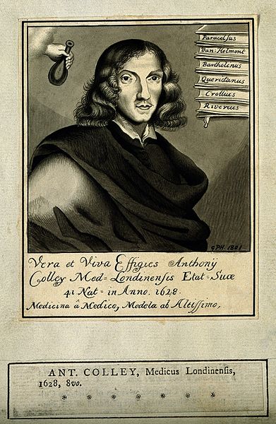 File:Anthony Colley. Watercolour en grisaille attributed to G. P. Wellcome V0001191.jpg