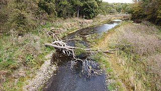 <span class="mw-page-title-main">Apple River Canyon State Park</span> State park in Jo Daviess County, Illinois