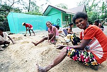 Ati tribe members cultivate the warm sand in Barangay Manoc-manoc in Malay, Aklan. Ati Boracay livelihood.jpg