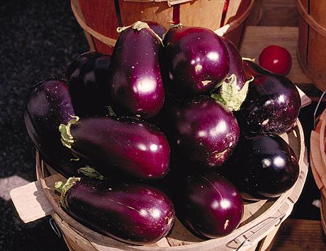 Aubergine (plant)