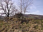 Auchenhove Castle mound.jpg