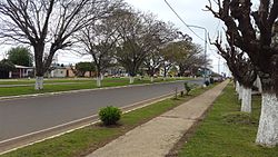Avenida Central en La Criolla.jpg