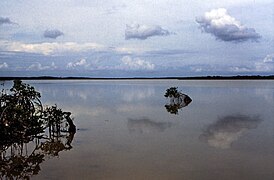 Озеро на острові Сан-Сальвадор