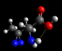 L-Photo-лейцин молекуласының шар және таяқша моделі.png
