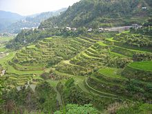 Banaue Rice Terraces Banaue Rice Terraces.jpg