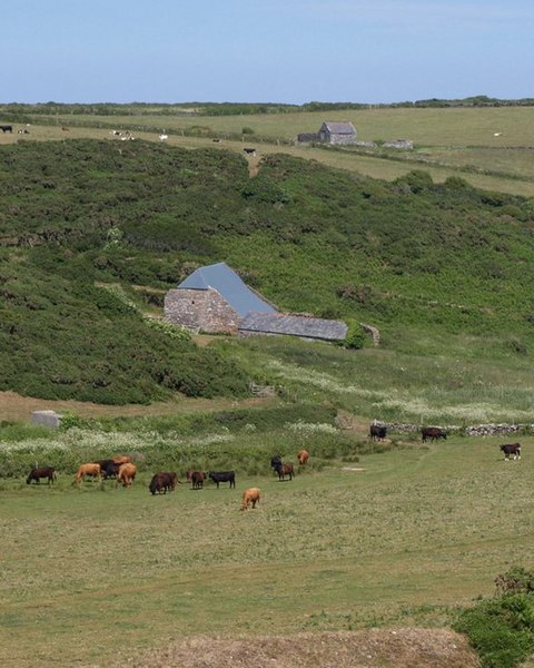 File:Barns near East Soar - geograph.org.uk - 1934810.jpg