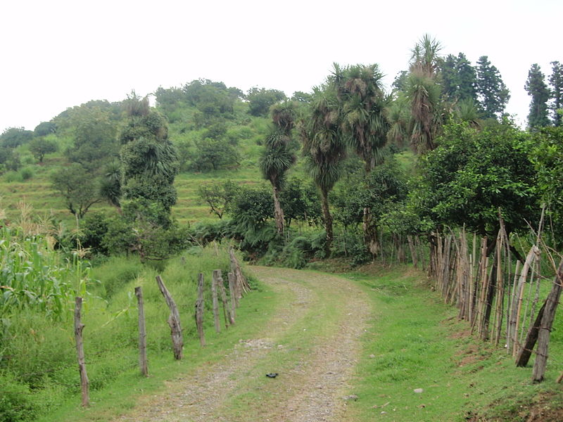 File:Batumi Country Road.jpg