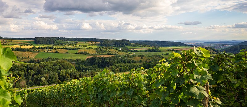 File:Beilstein - Etzlenswenden - Blick vom Höhenweg über das Schmidbachtal im Juli (1).jpg