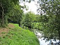 Belmer Bach im Fledder kurz vor dem Mündungsbereich