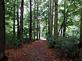 Berlin-Mahlsdorf Waldowpark 08.JPG