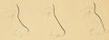 Bertillon - Identification anthropométrique (1893) 060.1.png