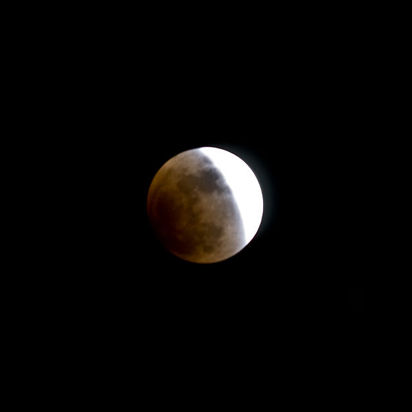 File:Bloody moon 1 4 (2281362418).jpg