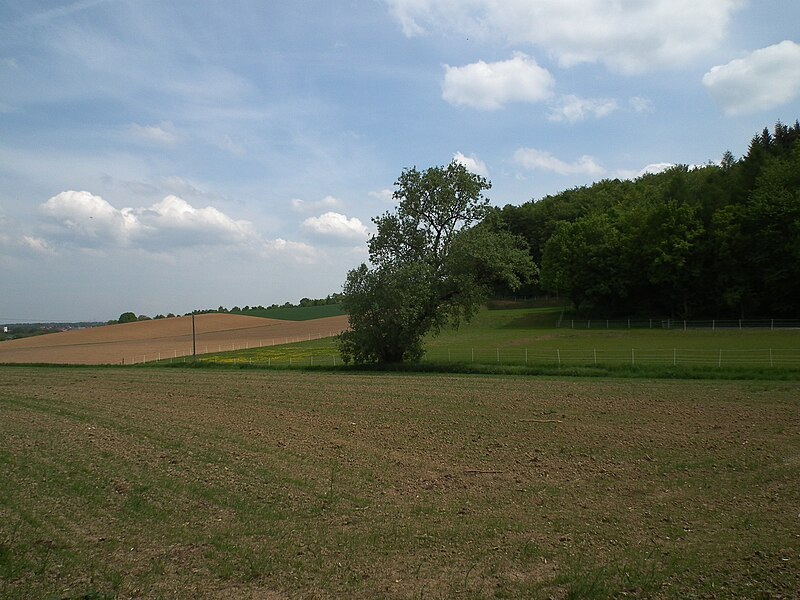 File:Bretten landwirtschaftliche Flächen.jpg