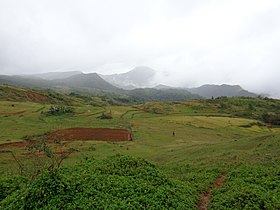 Paysage dans le baranguay d'Aningalan.