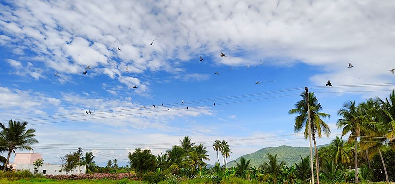 File:Bright beautiful sky.jpg