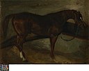 Bruin paard, Théodore Géricault, Koninklijk Museum voor Schone Kunsten Gent, 1914-DH.jpg