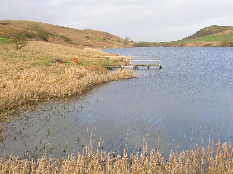 File:Busbie Muir Reservoir - north-western bank.JPG