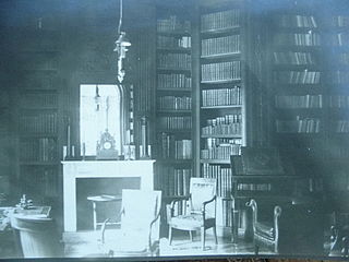 Bibliotheek met planken en ingebonden boeken.  Witte open haard.