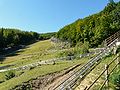 Tracciato del bob nel bosco presso la seggiovia Caldirola-Monte Gropà, Caldirola, Comune di Fabbrica Curone, Piemonte, Italia