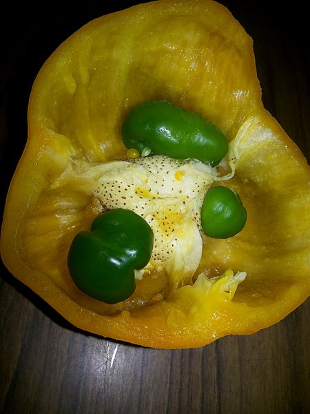 File:Capsicum INDIA.jpg