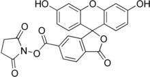 Carboxyfluorescein succinimidyl ester.png