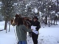 Census Worker Delivers Form on Horseback (4493694716).jpg