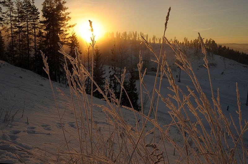 File:Central Finland, Finland - panoramio (28).jpg