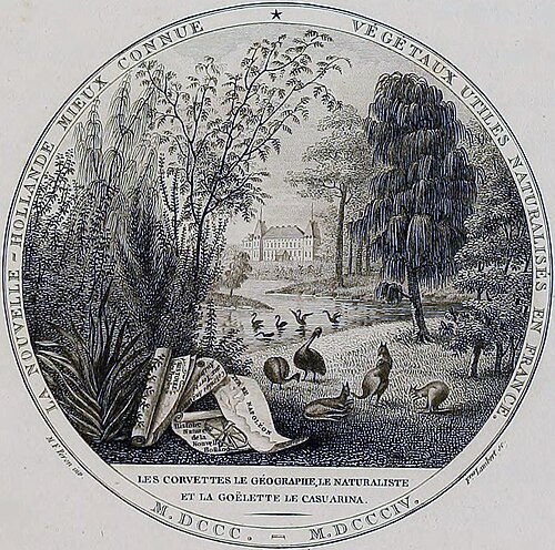 Two small emus (lower middle) and kangaroos outside Château de Malmaison, Paris, illustrated around 1807