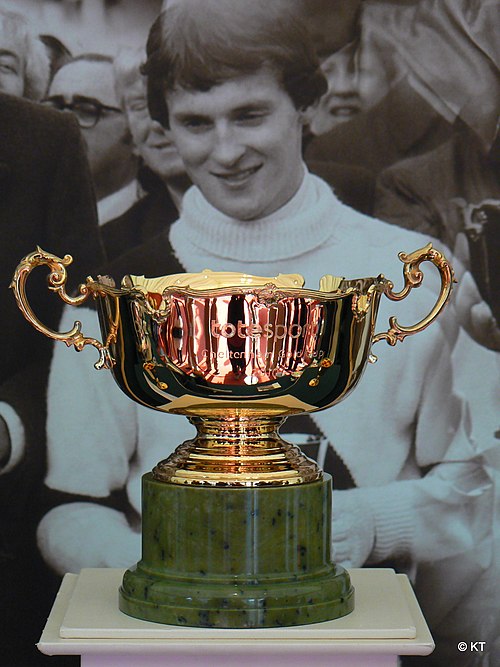 Cheltenham Gold Cup with Graham Bradley