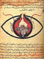 This manuscript, dated circa 1200CE, is kept at the Cairo National Library. The eye according to Hunain ibn Ishaq.