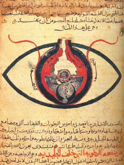 Anatomy of the eye for the first time in history by Hunayn ibn Ishaq in the 9th century