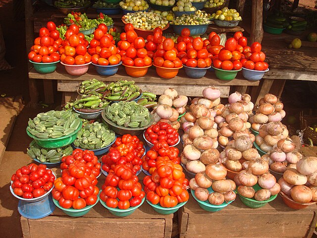 L’agriculture est au centre de l’économie ivoirienne