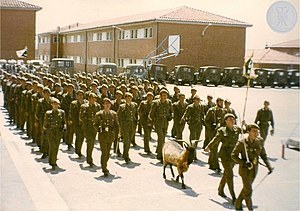 Ejército De Tierra: Storia, Unità e struttura, Gradi