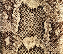Close-up of a patterned beige and brown snakeskin leather used to make a cigarette case Cigarette Case MET DP291213.jpg