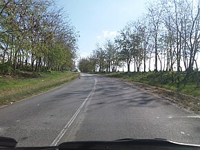 Circuito Sur - Mapillary (578141583133832).jpg