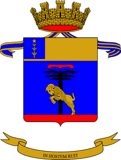 132nd Tank Regiment (Italy) Italian Army tank unit