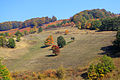 Colorful nature of Firiqeva village in eastern Kosovo, Kamenica