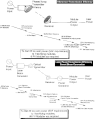 Vorschaubild der Version vom 14:11, 25. Jul. 2011